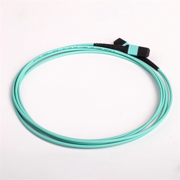 300 Mbps fiber optic transmission