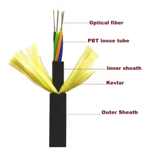 Fiber optic patch panel with lights