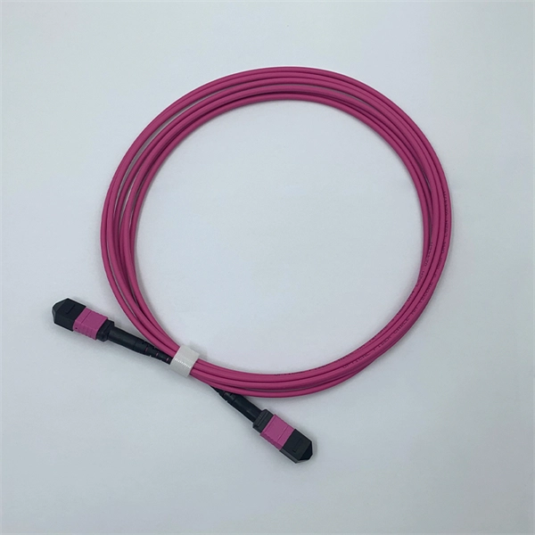 Fiji Optical Switch PAM4