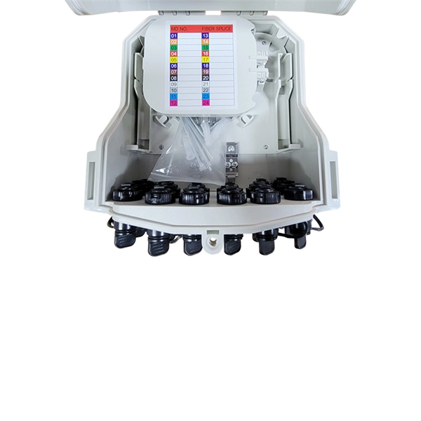 Fiber Optic Cable Connection for Single-Mode Smart Buildings in Paraguay