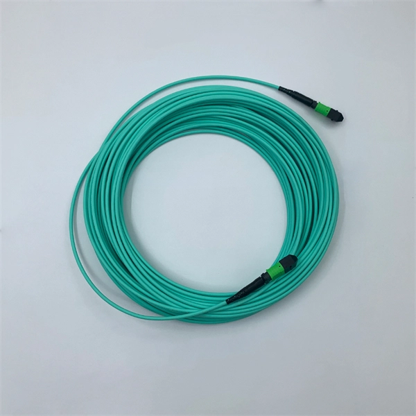 Belgian Optical Network Switch DML
